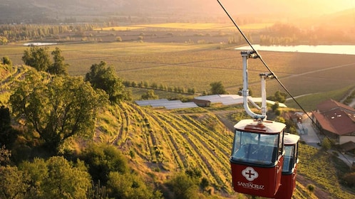 Depuis Santiago : Vin privé excursion dans la vallée de Colchagua