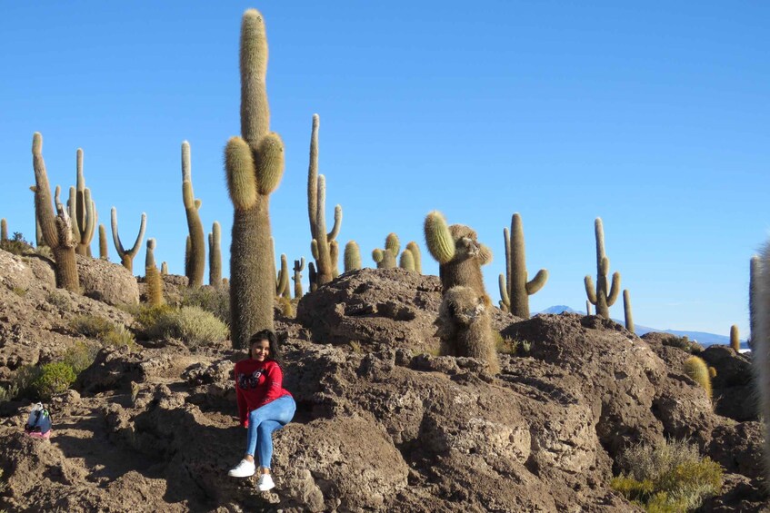 Picture 9 for Activity La Paz: 4-Day Uyuni & Colored Lagoons with Flight and Hotel