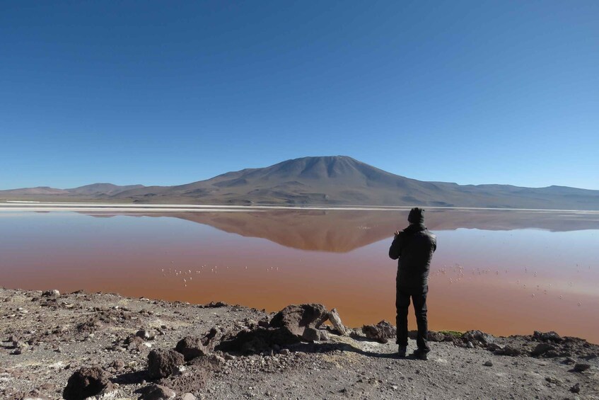 Picture 12 for Activity La Paz: 4-Day Uyuni & Colored Lagoons with Flight and Hotel