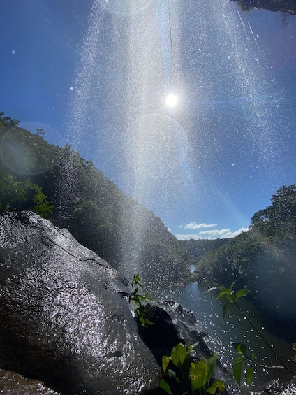 Picture 3 for Activity Mauritius Natirel :Tamarind Falls Wilderness exploration