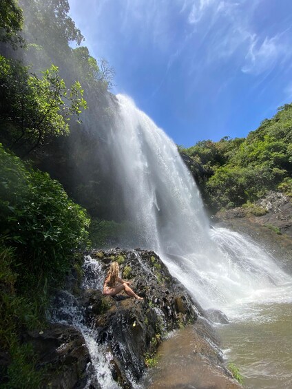 Picture 13 for Activity Mauritius Natirel :Tamarind Falls Wilderness exploration