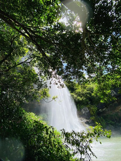 Picture 8 for Activity Mauritius Natirel :Tamarind Falls Wilderness exploration