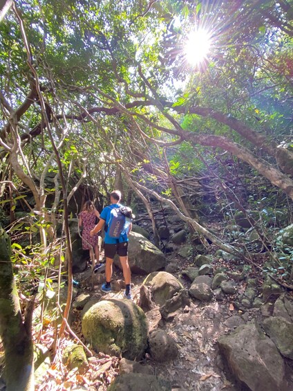 Picture 2 for Activity Mauritius Natirel :Tamarind Falls Wilderness exploration