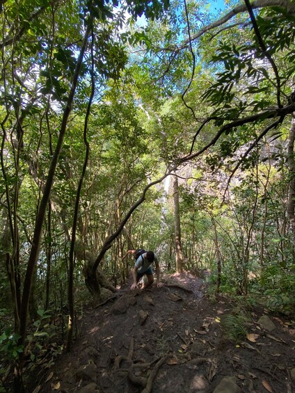 Picture 10 for Activity Mauritius Natirel :Tamarind Falls Wilderness exploration