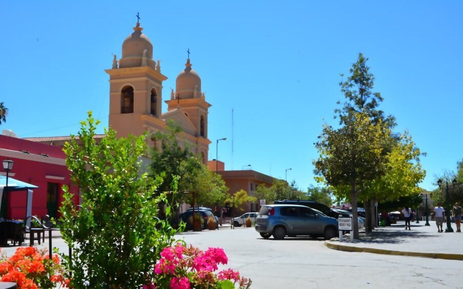 Picture 31 for Activity From Salta: Cafayate, land of wines and imposing ravines