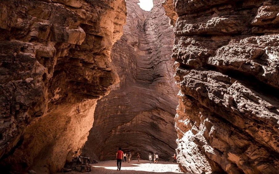 Picture 8 for Activity From Salta: Cafayate, land of wines and imposing ravines