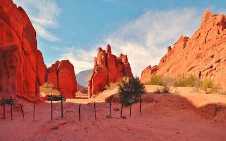 Depuis Salta : Cafayate, terre de vins et de ravins imposants