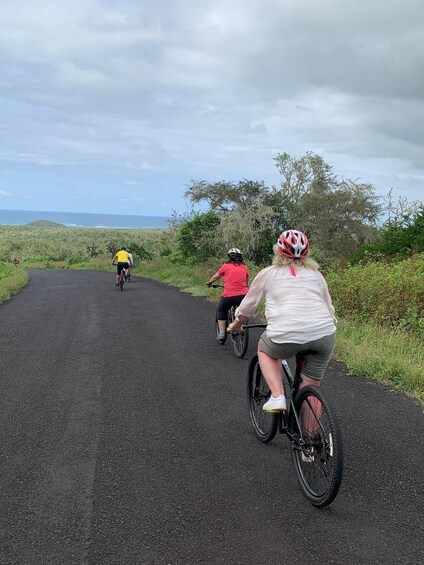 Picture 3 for Activity Galapagos: Route by bicycle, Tortoise Bike Rute