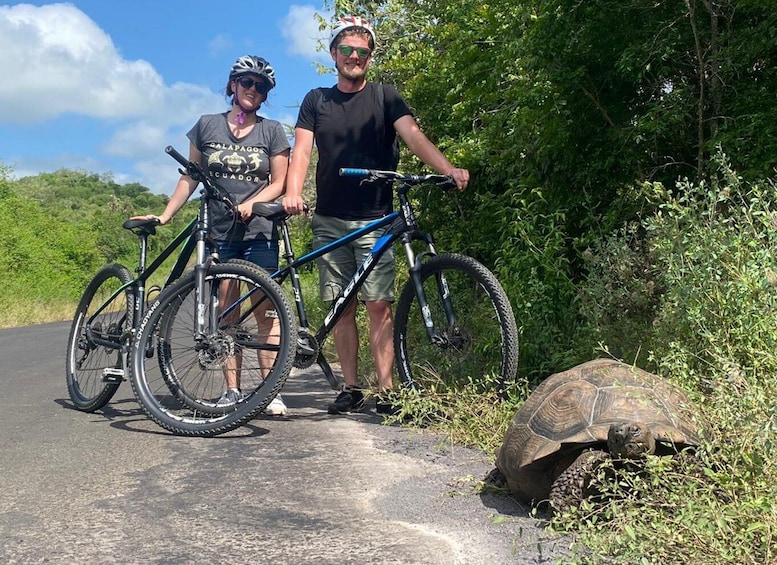 Picture 4 for Activity Galapagos: Route by bicycle, Tortoise Bike Rute