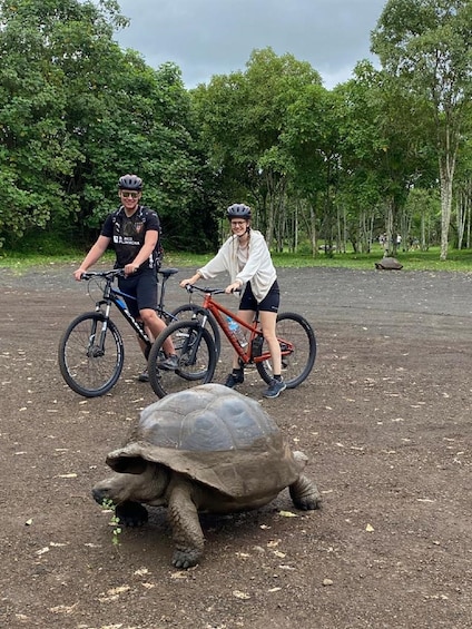 Galapagos: Route by bicycle, Tortoise Bike Rute