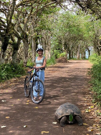 Picture 2 for Activity Galapagos: Route by bicycle, Tortoise Bike Rute