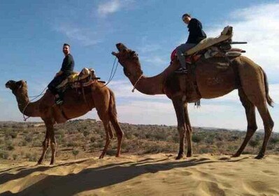 From Jodhpur: Overnight Camping with Camel Safari In Jodhpur