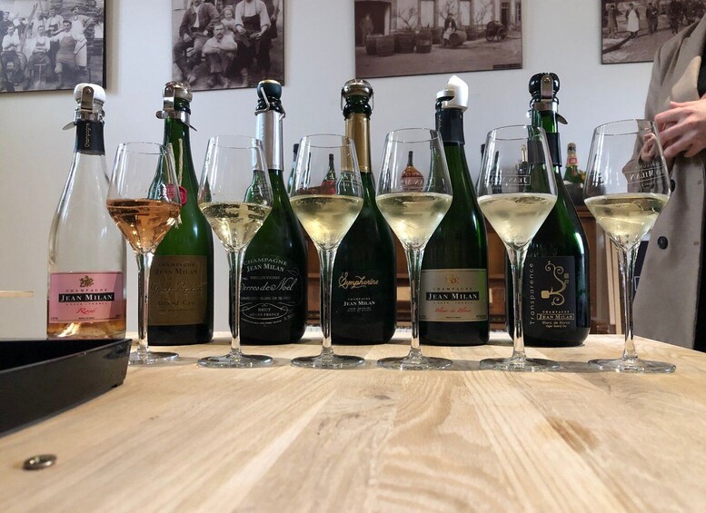 From Reims/Epernay: Private Gold Champagne Tasting Tour