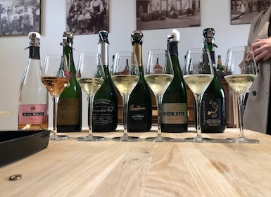De Reims/Epernay : Dégustation privée de champagne d'or excursion
