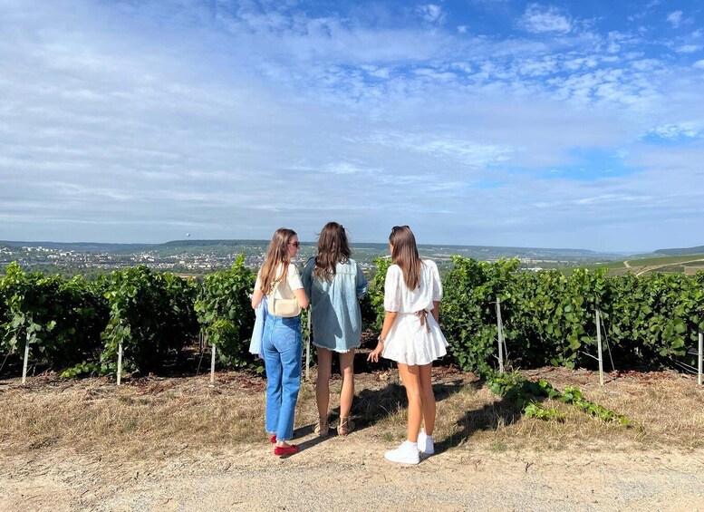 Picture 16 for Activity From Reims/Epernay: Private Gold Champagne Tasting Tour