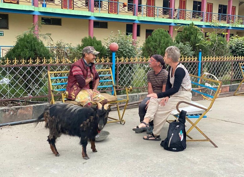 Picture 37 for Activity Morning Tibetan cultural tour