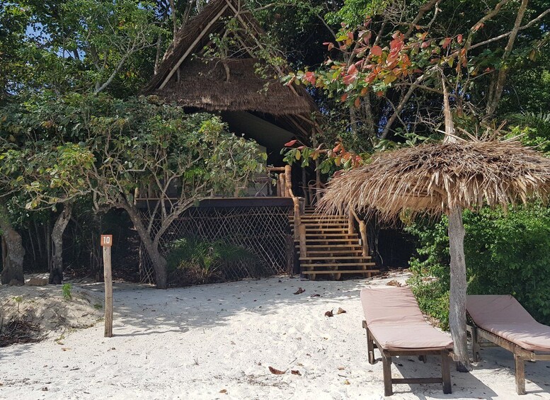 Picture 3 for Activity Zanzibar: Private 3-Day Pemba Island Tour with Buffet