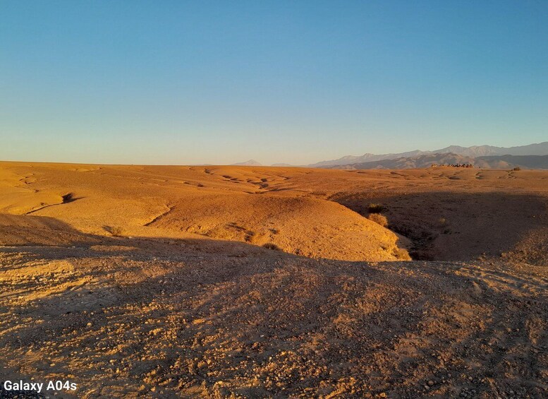 Picture 9 for Activity Agafay Desert Camel Ride and Quad Biking & Dinner with Show