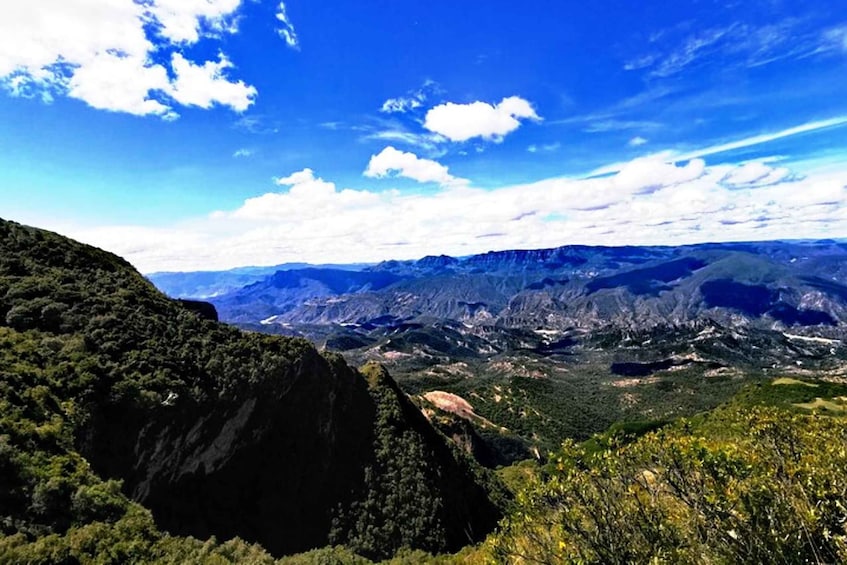 Picture 1 for Activity Sucre: 1 Day Tour El Palmar National Park & Yampara Villages