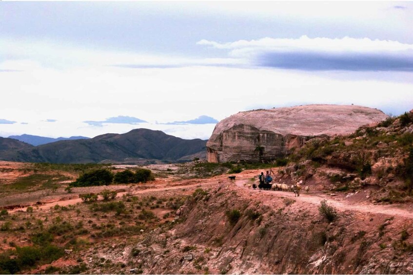 Picture 8 for Activity Sucre: 1 Day Tour El Palmar National Park & Yampara Villages