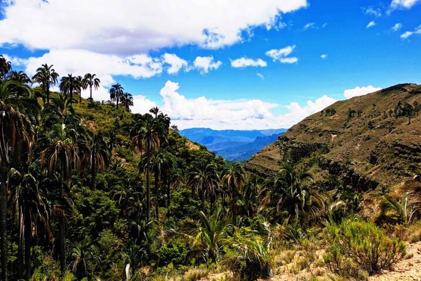 Sucre: 1 Day Tour El Palmar National Park & Yampara Villages