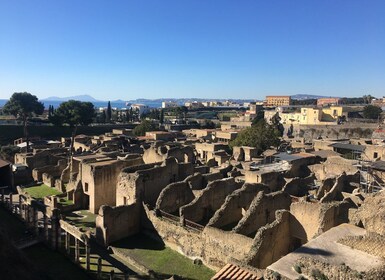 Pompeji und Herculaneum: Geführte Tour mit einem Archäologen