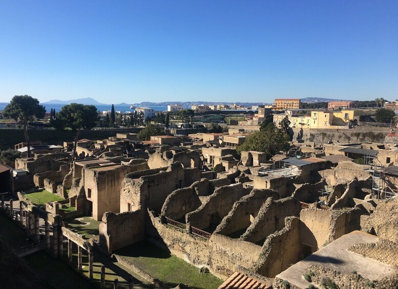 Pompeii and Herculaneum: Guided Tour with an Archaeologist