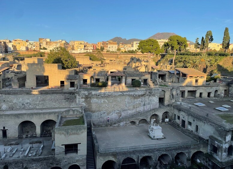 Picture 2 for Activity Pompeii and Herculaneum: Guided Tour with an Archaeologist