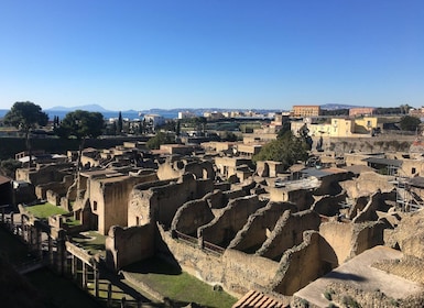 Pompeia i Herculà: Visita guiada amb un arqueòleg