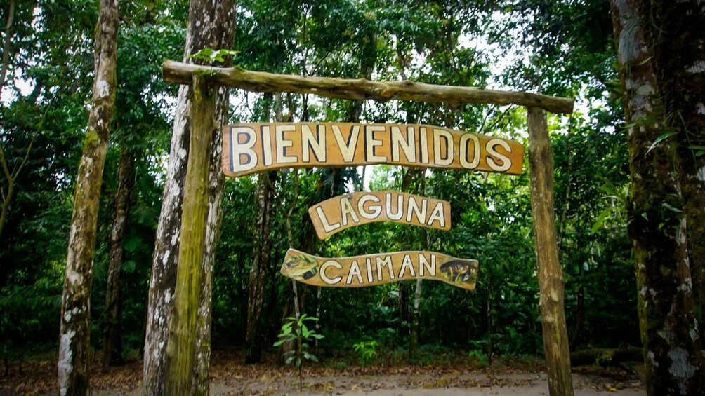 Picture 4 for Activity 3 Days Discover The Ecuadorian Amazon (Tour From Quito)