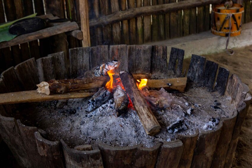 Picture 14 for Activity 3 Days Discover The Ecuadorian Amazon (Tour From Quito)