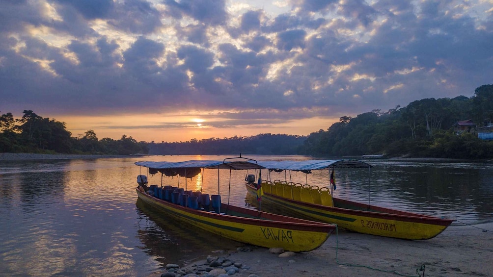 Picture 12 for Activity 3 Days Discover The Ecuadorian Amazon (Tour From Quito)