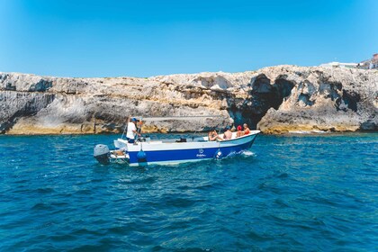 Syracuse: Ortigia and Sea Caves Excursion by Boat
