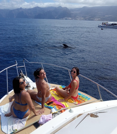 Picture 7 for Activity From Playa San Juan: Whale Watching, Gigantes, and Masca Bay