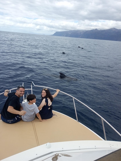 Picture 11 for Activity From Playa San Juan: Whale Watching, Gigantes, and Masca Bay