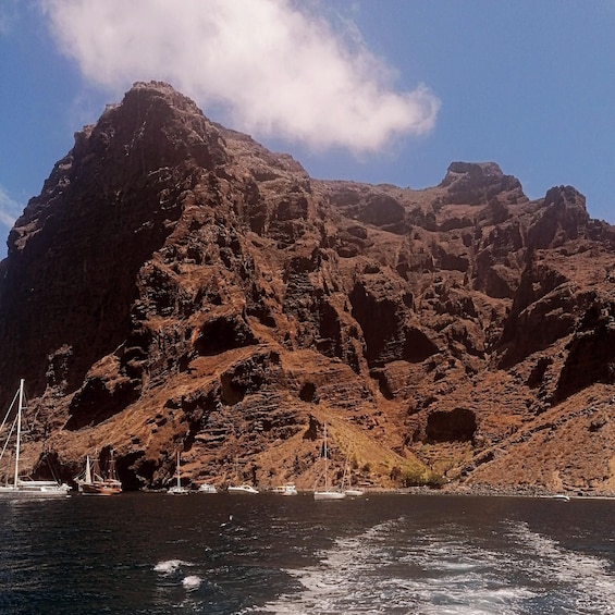 Picture 6 for Activity From Playa San Juan: Whale Watching, Gigantes, and Masca Bay