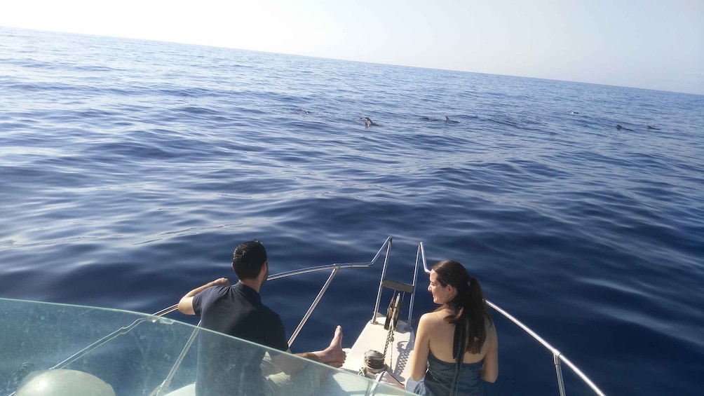 Picture 4 for Activity From Playa San Juan: Whale Watching, Gigantes, and Masca Bay