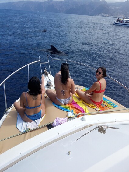 Picture 8 for Activity From Playa San Juan: Whale Watching, Gigantes, and Masca Bay