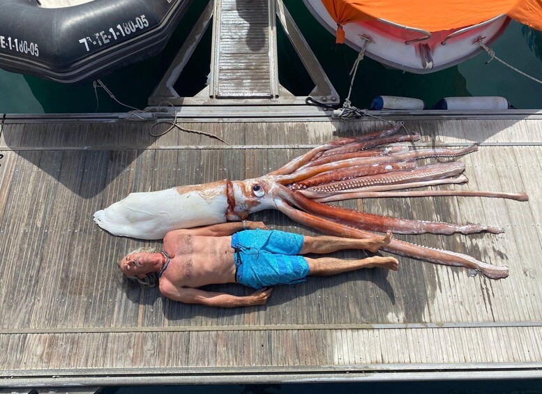 Picture 5 for Activity From Playa San Juan: Whale Watching, Gigantes, and Masca Bay