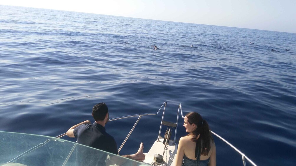 Picture 5 for Activity From Playa San Juan: Whale Watching, Gigantes, and Masca Bay