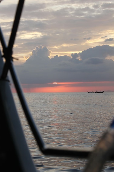 Picture 31 for Activity Ko Phi Phi Don: Speedboat Day Trip with Shark Snorkeling