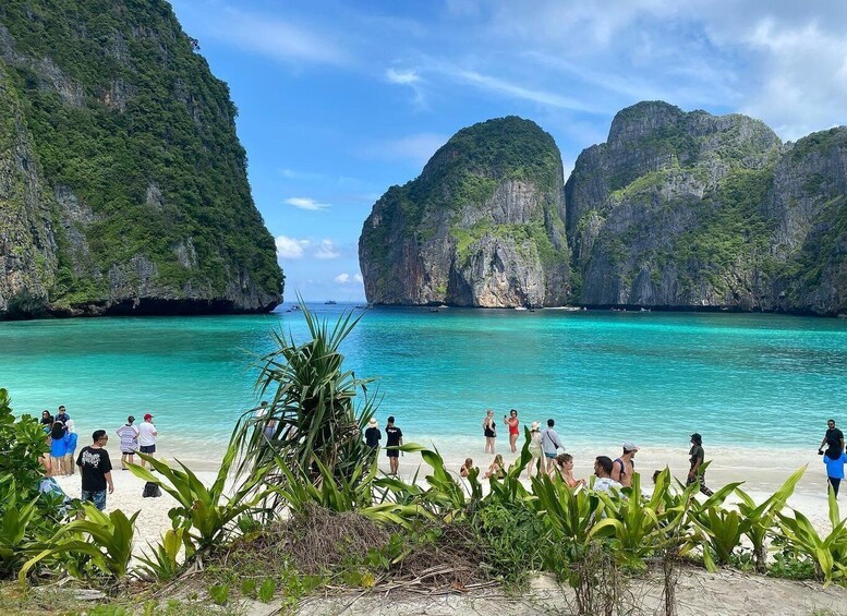 Picture 4 for Activity Ko Phi Phi Don: Speedboat Day Trip with Shark Snorkeling