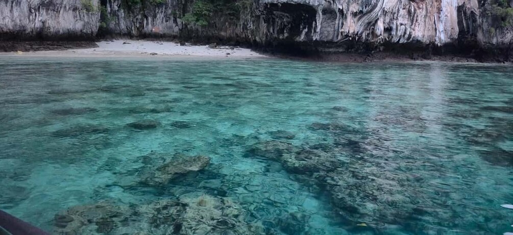 Ko Phi Phi Don: Speedboat Day Trip with Shark Snorkeling