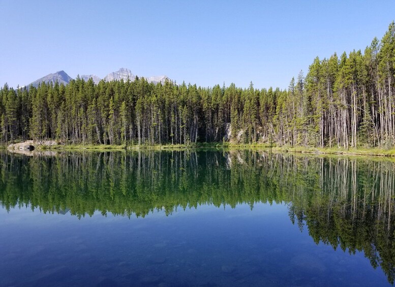 Picture 9 for Activity From Calgary/Banff: Columbia Icefield Glacier Full-Day Trip