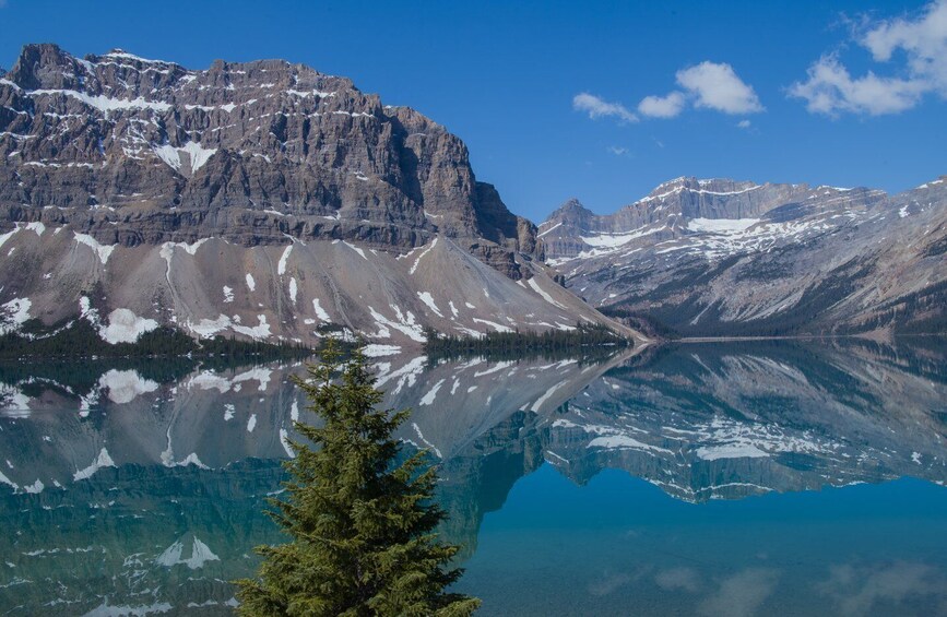 Picture 4 for Activity From Calgary/Banff: Columbia Icefield Glacier Full-Day Trip