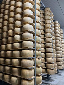 Private Tour zu Parmigiano Reggiano, Prosciutto und Balsamico