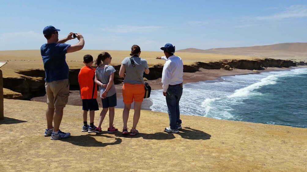 Half day tour: Ballestas Islands & Paracas Natural Reserve