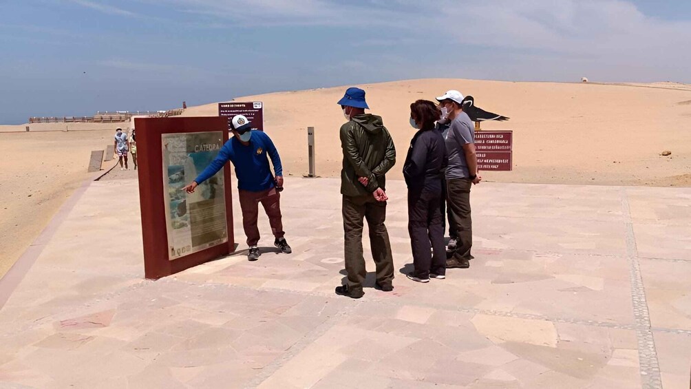 Picture 11 for Activity Half day tour: Ballestas Islands & Paracas Natural Reserve