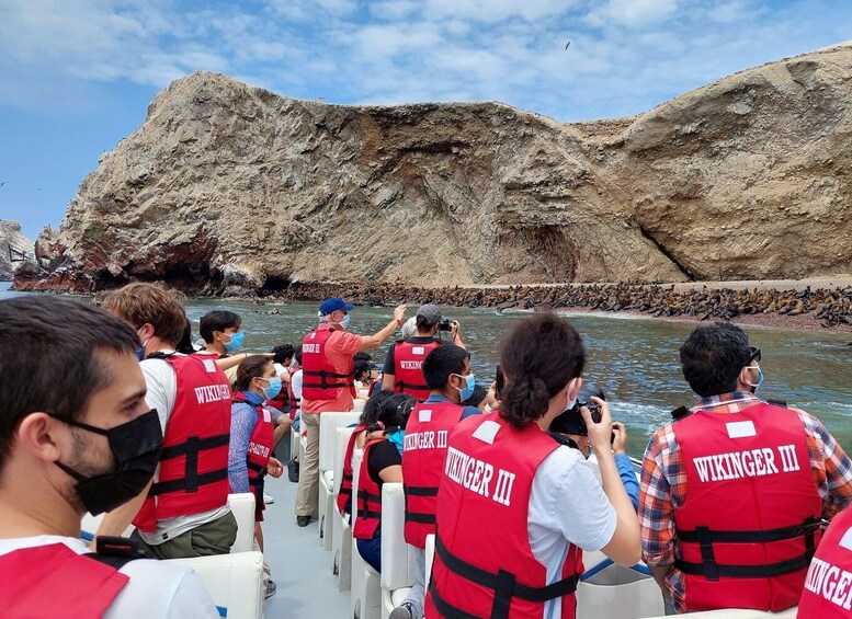 Picture 7 for Activity Half day tour: Ballestas Islands & Paracas Natural Reserve