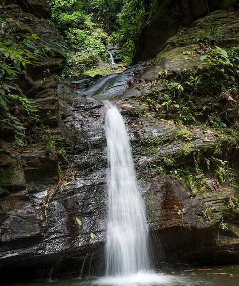 Zorro Falls Tour